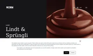 Preview of the Lindt & Sprungli Case Study