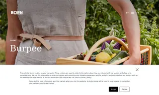 Preview of the Burpee Case Study