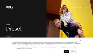Preview of the Diesel S.p.A Case Study