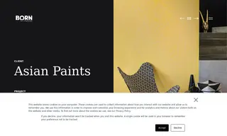 Preview of the Asian Paints Case Study