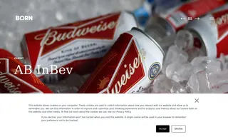 Preview of the AB InBev Case Study