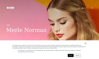 Preview of the Merle Norman Case Study