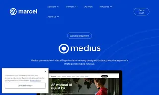 Preview of the Medius Case Study