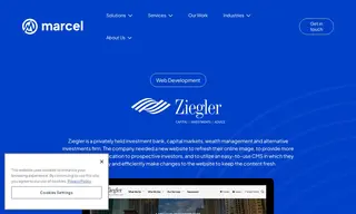 Preview of the Ziegler Case Study
