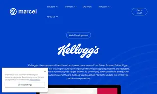 Preview of the Kellogg's Case Study