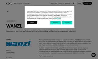 Preview of the Wanzl Case Study