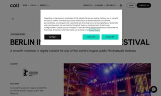 Preview of the Berlin International Film Festival Case Study