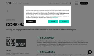 Preview of the Core-Backbone GmbH Case Study