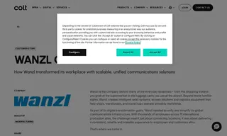 Preview of the Wanzl GmbH Case Study