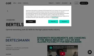 Preview of the Bertelsmann Case Study