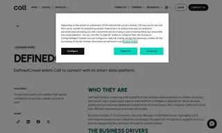 Preview of the DefinedCrowd Case Study