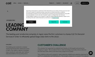 Preview of the Leading Post-production Company Case Study