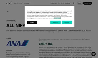 Preview of the All Nippon Airways Co., Ltd. Case Study