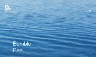 Preview of the Bumble Bee Case Study
