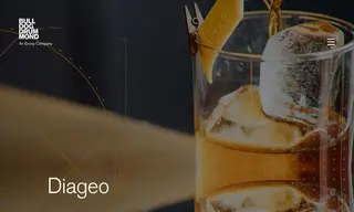 Preview of the Diageo Case Study