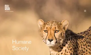 Preview of the Humane Society of the United States Case Study