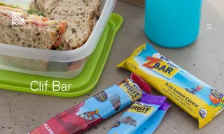 Preview of the Clif Bar & Company Case Study