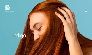 Preview of the Indigo Case Study