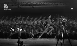 Preview of the Adidas Case Study