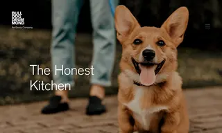 Preview of the The Honest Kitchen Case Study
