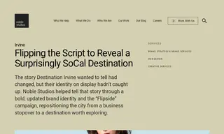 Preview of the Destination Irvine Case Study