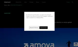 Preview of the Amova Asset Management Case Study