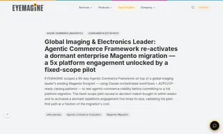 Preview of the BenQ Case Study