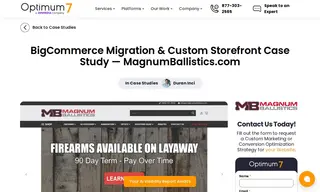 Preview of the Magnum Ballistics Case Study