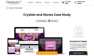 Preview of the Crystals and Stones Case Study