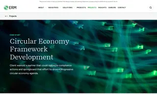 Preview of the Global Technology Company Case Study