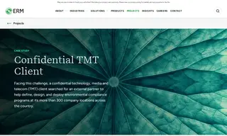 Preview of the Confidential Technology, Media and Telecom (tmt) Client Case Study