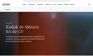 Preview of the Kodak De México SA De CV Case Study