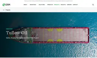 Preview of the Tullow Oil Case Study