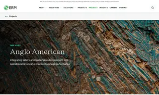 Preview of the Anglo American Case Study