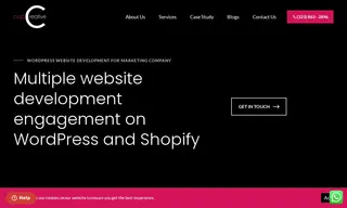 Preview of the Advice Interactive Group Case Study