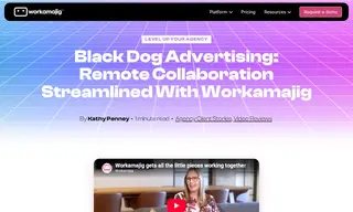 Preview of the Black Dog Advertising Case Study