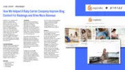 Preview of the Ergobaby Case Study