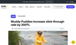 Preview of the Muddy Puddles Case Study