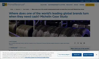 Preview of the Michelin Group Case Study