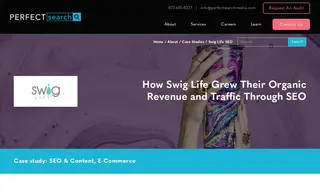 Preview of the Swig Life Case Study