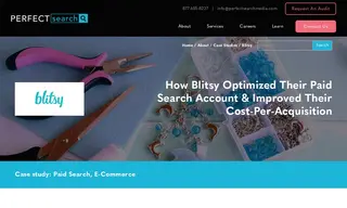 Preview of the Blitsy Case Study