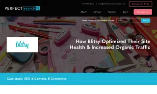 Preview of the Blitsy Case Study