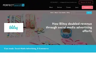 Preview of the Blitsy Case Study