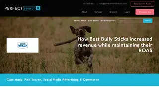 Preview of the Best Bully Sticks Case Study