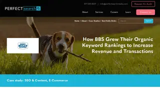 Preview of the Best Bully Sticks Case Study