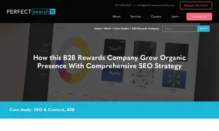 Preview of the B2B Rewards Company Case Study