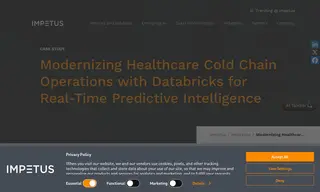 Preview of the Fortune 100 Healthcare Company Case Study
