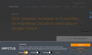 Preview of the Fortune 100 Healthcare Company Case Study