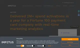 Preview of the Fortune 100 Payment Card Company Case Study