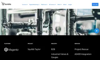 Preview of the Squibb Taylor, Inc Case Study
